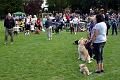 Dog show 5
